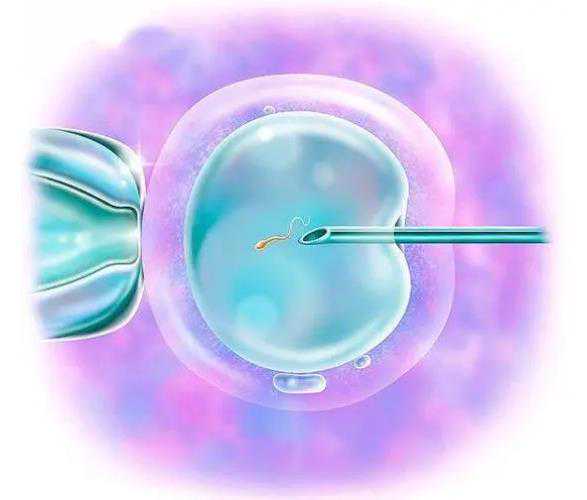 国内供卵不用等的医院有哪些,试管婴儿西安哪个医院好一点？附公立医院助孕成功率