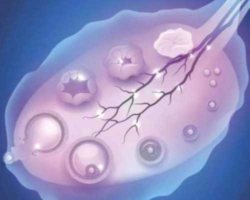 国内供卵三代试管包生男孩,她的成功秘诀是什么，费用是关键！