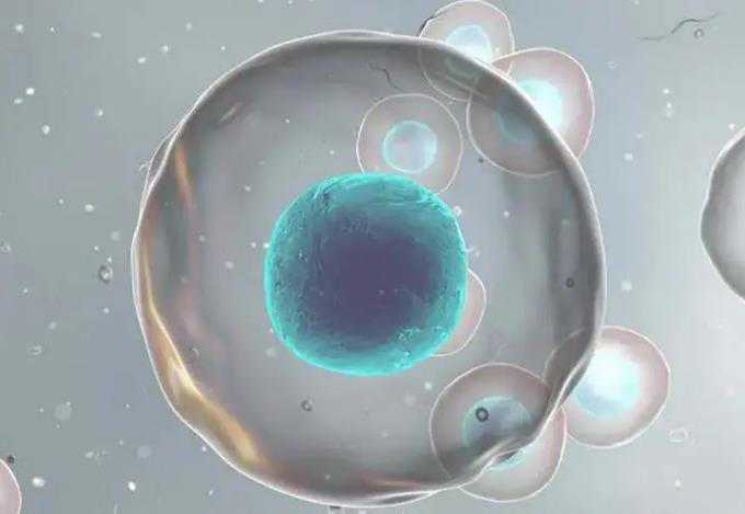 国内供卵,株洲试管婴儿第三代多少费用