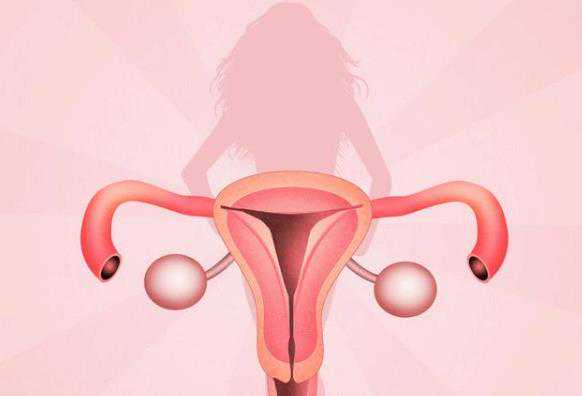 中国能做供卵试管的医院,两个异地户口怎么领证,双方都异地办理结婚证